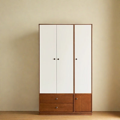 Simple  And Colour Blocked Wardrobe