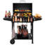 Barbecue au charbon avec panier avant Royal Gourmet