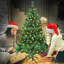 Christmas Tree-2000567503