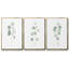Douce branche d'eucalyptus I, ensemble de 3 toiles encadrées-97706812-97706815