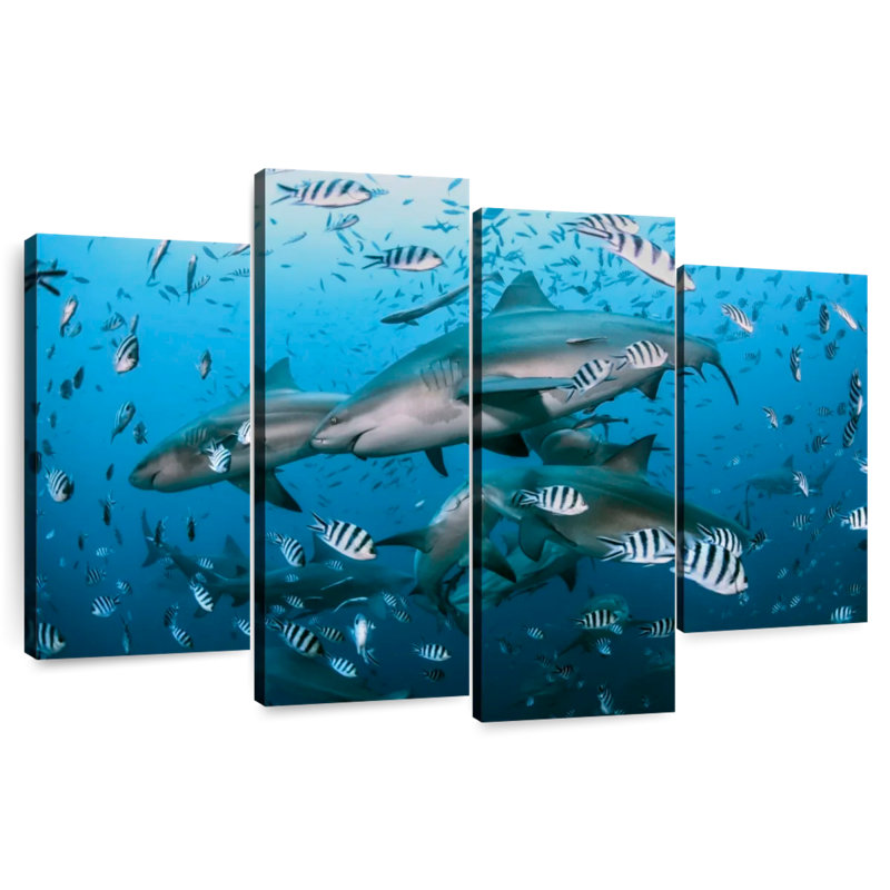 Aletra Beqa Lagoon Sharks, 27" H x 43" W