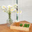 Plateau de service en bois Araylee