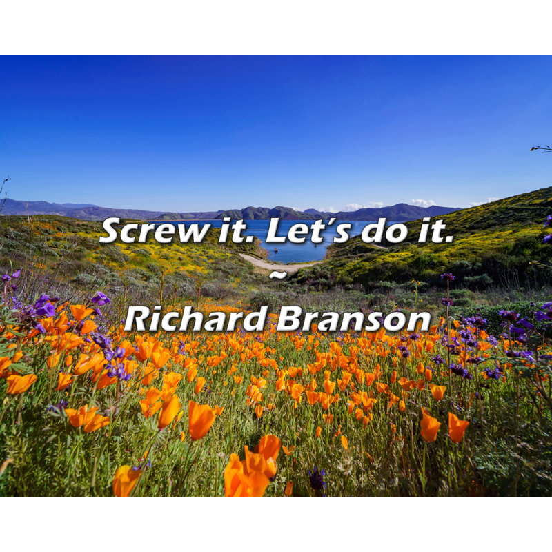 Richard Branson Quote: Screw it. Let's do it.