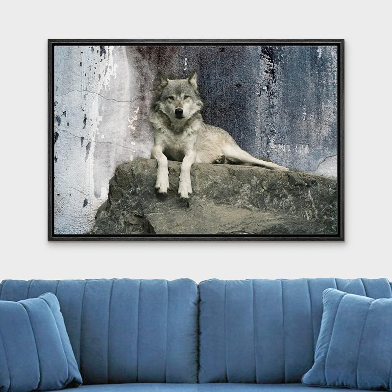 Animaux, loup couché sur un rocher sur toile, Cadre noir, H 16 po x l 24 po