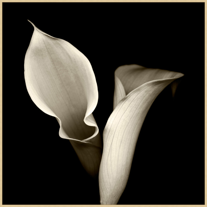Concerto 3 Print by Lillian August