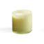 Wild Honeysuckle Classic Candle-1389704508