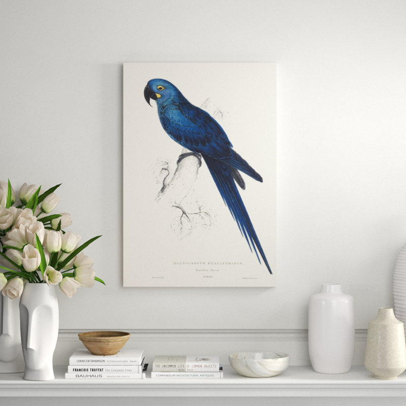 Hyacinthine Parakeet Print by Edward Lear, Glass Coat, 53" H x 36" W