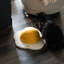 Grattoir Elaysha avec jouet, griffoir rond pour chat en forme d'œuf-603222292
