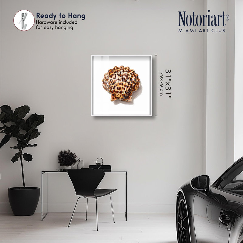 «Wild Crest II Shadowbox Print Glam» par Notoriart, cadre blanc, 31 x 31, H 31 po x l 31 po, Cadre blanc