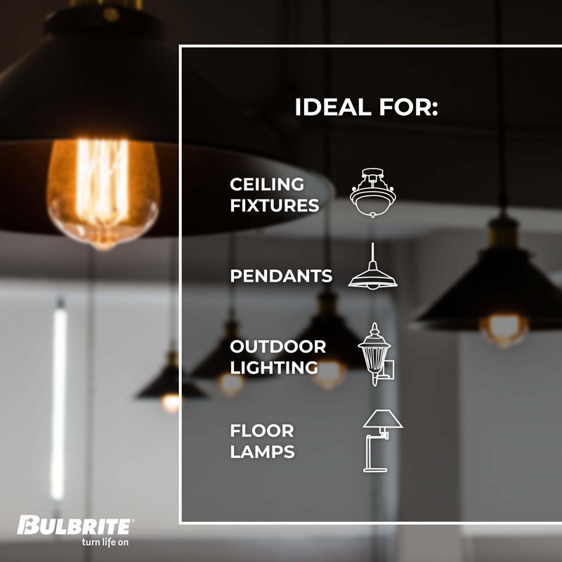 60 Watt Equivalent, ST18 LED, Antique Dimmable Light Bulb, (2200K) E26/Medium (Standard) Base