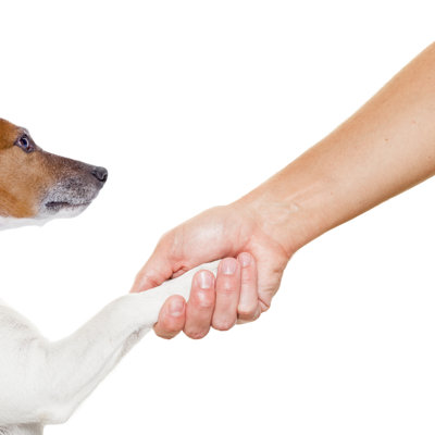 Chien et propriétaire par Damedeeso - photographie sur toile tendue