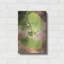 «Sprouting Ginkgo IV» par Debra Van Swearingen-1085504586