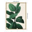 «Jeweled Ficus I» par Grace Popp, reproduction d'art sur toile encadrée-109556603