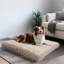 Dog Bed-1859697662-1859697635