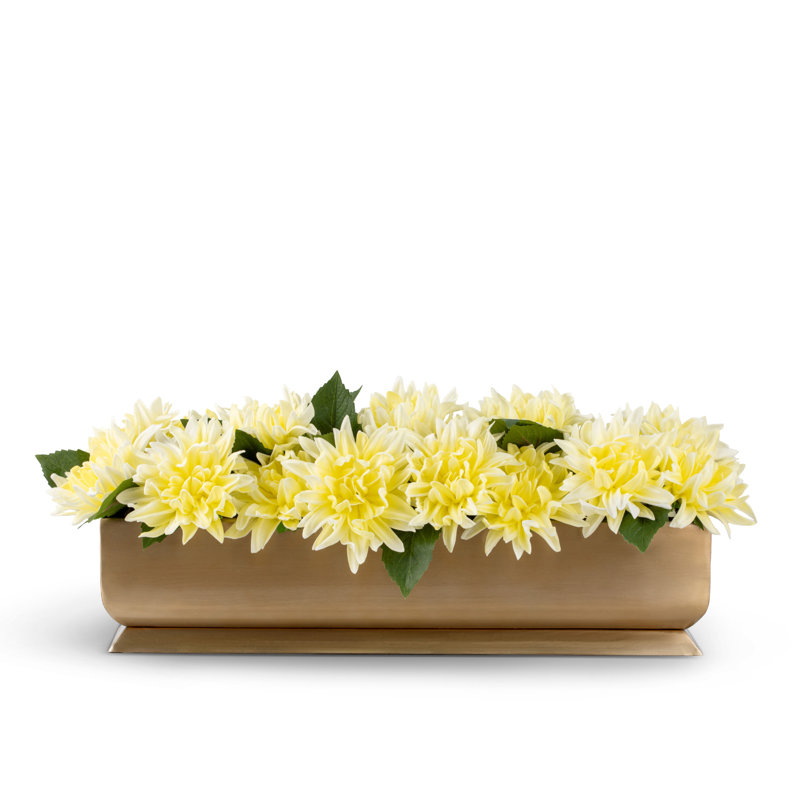 Auge dorée Carlotta RealTouch Dahlia, Citrine