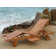 Afrin 195cm Long Reclining Eucalyptus Single Chaise