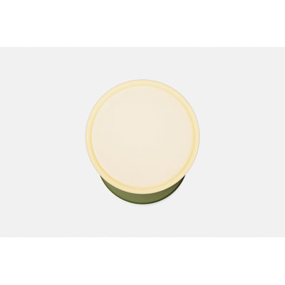 Marea Wall Sconce