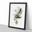 Australian Cuckoos by Elizabeth Gould - Framed Print-55456998-55456996