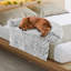 Arrigo Carpet Pet Bed-2072489074-2072489071