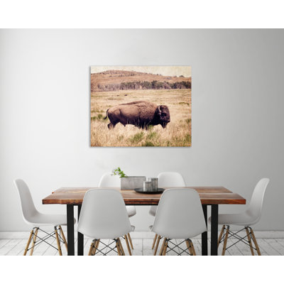 "Buffalo I", toile tendue par Debra Van Swearingen