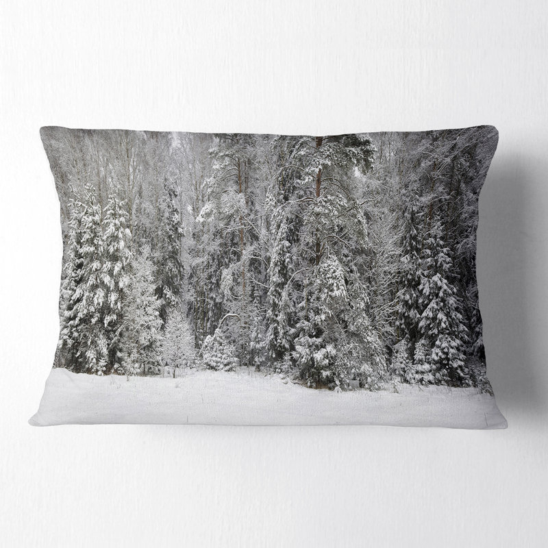 Coussin lombaire Schafer