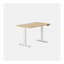 Standing Desk-291611454-291611429-291611430
