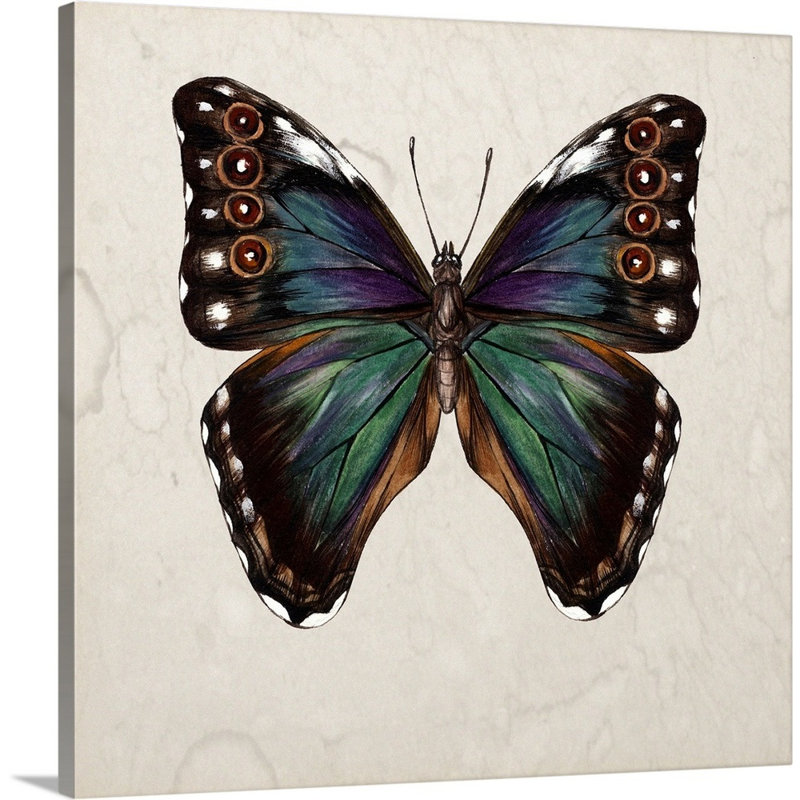 «Butterfly Study III» par Wang Melissa - reproduction d'art sur toile, Toile tendue, H 16 po x l 16 po x P 1 po