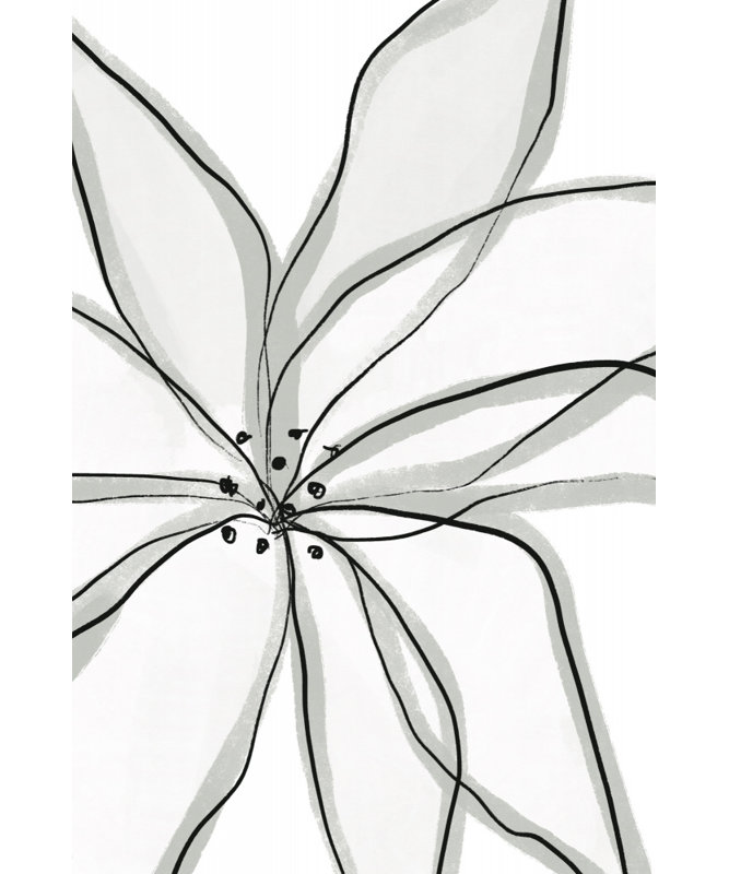 Wrapped Canvas Print, 121.92 cm H x 81.28 cm W