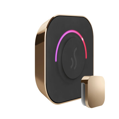 Tempotouch steam shower control and steamhead 