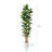 Adcock  Artificial Fiddle Leaf Fig Tree with Realistic Leaves and Natural Trunk, Potted Tree-212896211