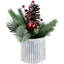 12 plantes