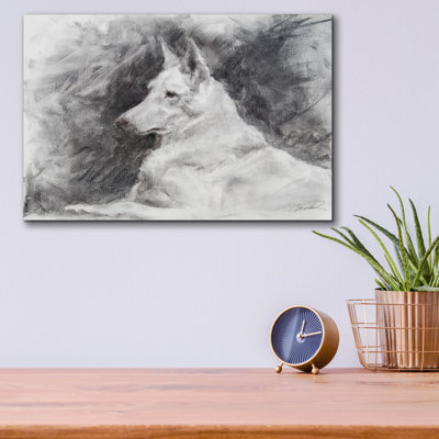 " White Shepherd In Grey " by Robert Campbell