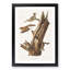 Flying Squirrels by J.W. Audubon - Picture Frame Graphic Art Print-55576123-55576124
