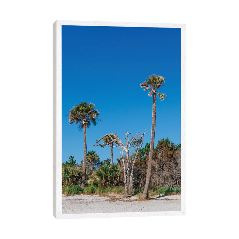 Sullivan's Island XII by Bethany Young - Print on Canvas, White Framed, 101.6cm H x 66.04cm W x 3.81cm D