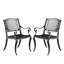 Ensemble de 2 chaises ergonomiques Cayman Arch I