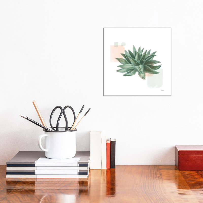 Desert Color Succulent II Mint by Sue Schlabach - Gallery-Wrapped Canvas Giclée on Canvas, 30.48 cm H x 30.48 cm W, Canvas