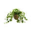 Nunn Faux Ivy Plant in Pot-557211656-557211657