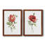 Pivoine écarlate - ensemble de 2 reproductions d'art-1707267970-1707267971-1707268023