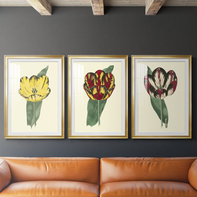 Antique Tulip II  -Custom Framed  Premium Print W Matt - 3 Pieces