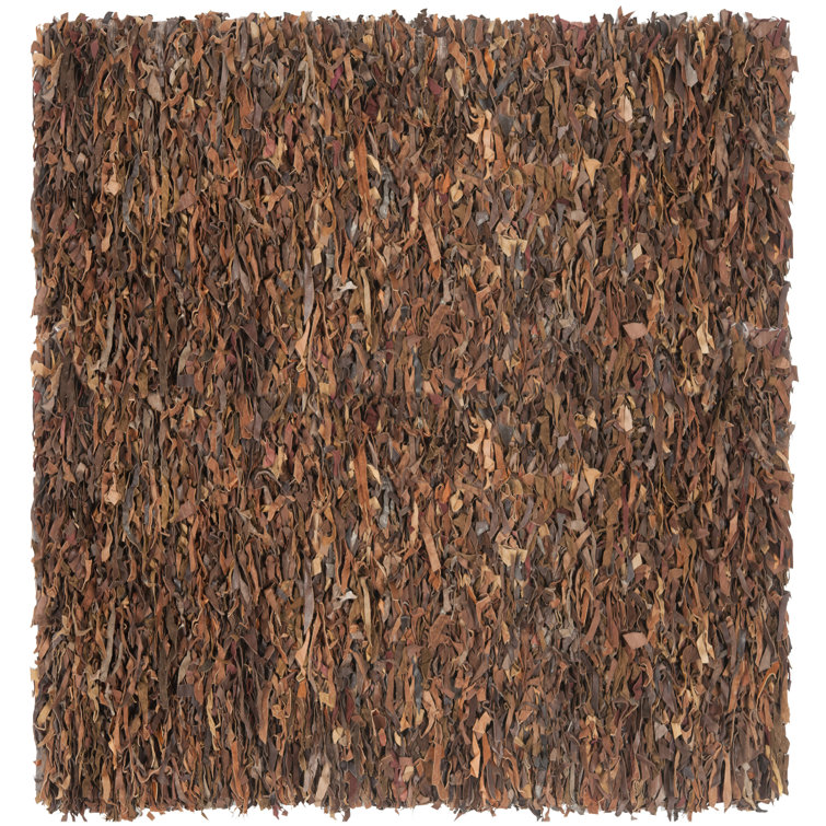 Assar Shag Saddle Area Rug