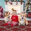Tapis Christmas-755935518