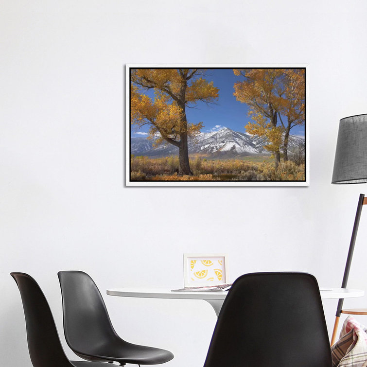 Cottonwood Trees, Fall Foliage, Carson Valley, Nevada II by Tim Fitzharris - Gallery-Wrapped Canvas Giclée on Canvas