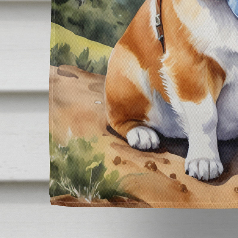 Drapeau Cowboy Welcome House, Corgi