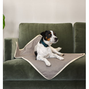 Pet Blanket