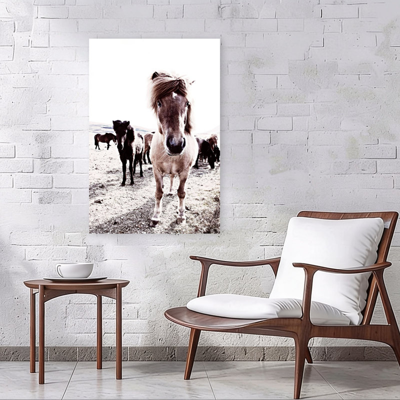 Islande, cheval, Rikka, art contemporain cheval