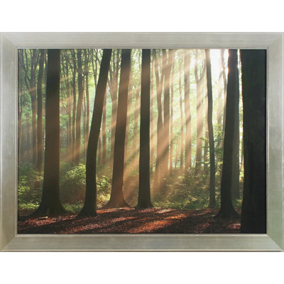 Shining Through Print