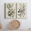 Toile tendue de qualité supérieure Pl 185 Bachman's Warbler - prêt à accrocher-800675887