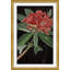 Red Flowers Large Giclee Print
