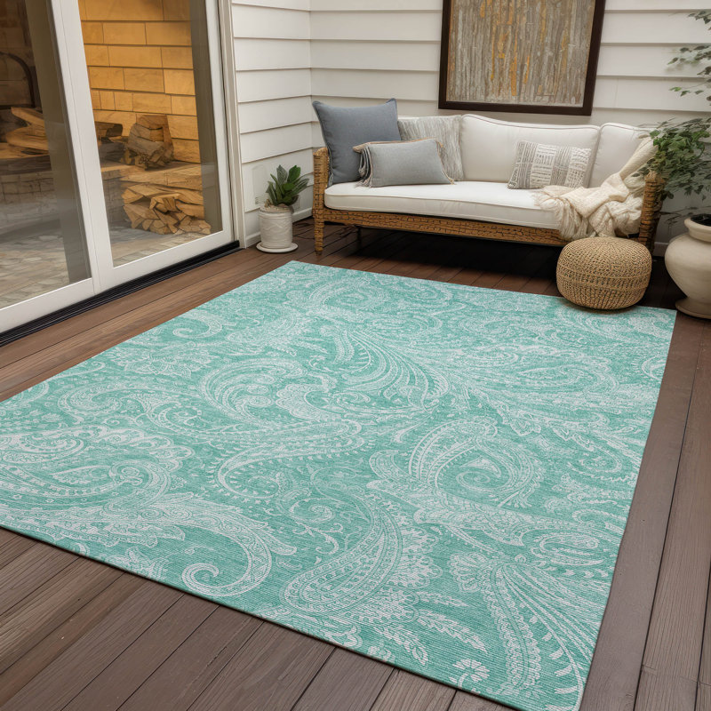 Cresley Paisley Indoor / Outdoor Rug, Rectangle 3' x 5'