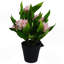 Plastic, Silk Freesia Arrangement in Pot-109341036